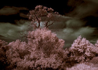 InfraRed